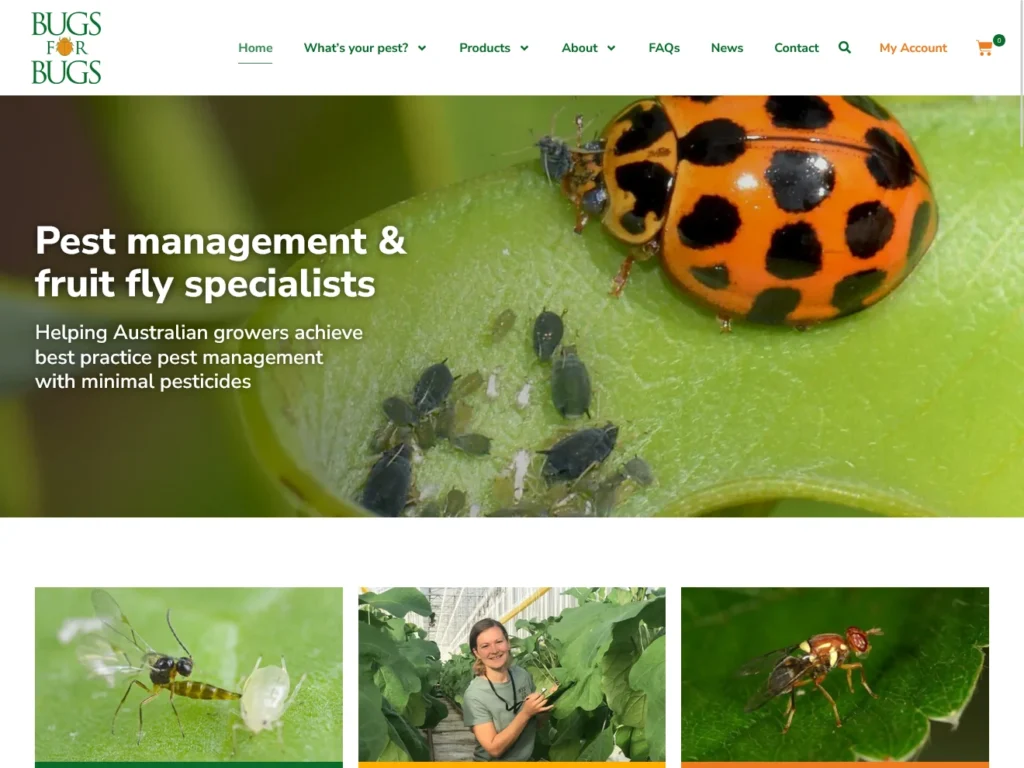 bugsforbugs new website design