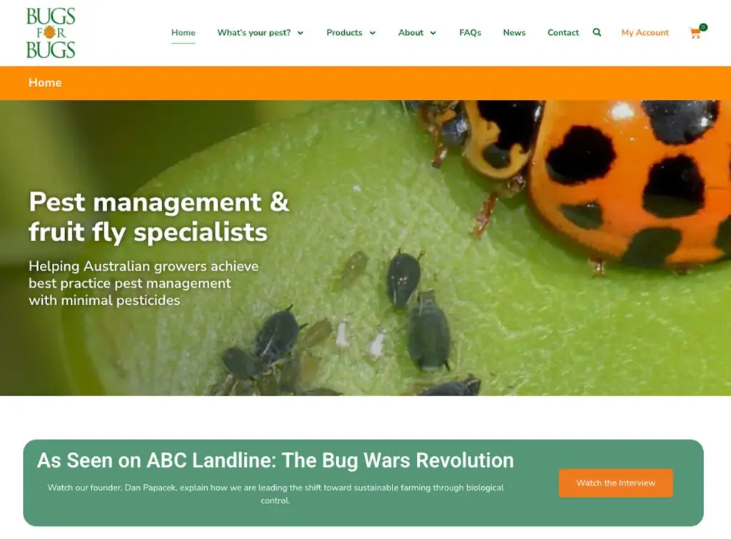 Bugs for Bugs home page