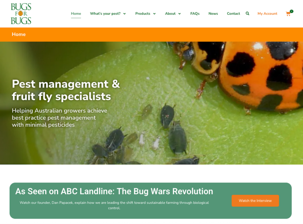 Bugs for Bugs home page