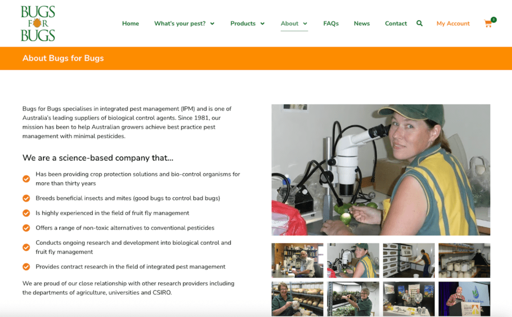 Bugs for Bugs About Us