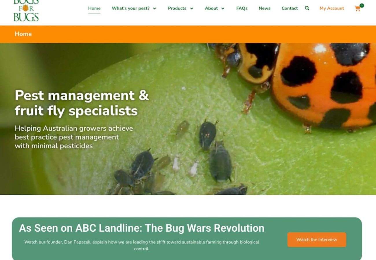 Bugs for Bugs home page