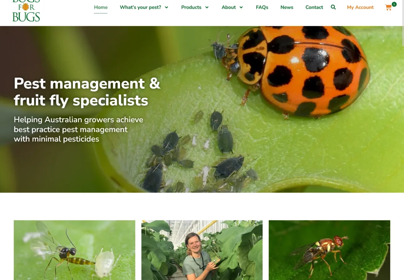 bugsforbugs new website design